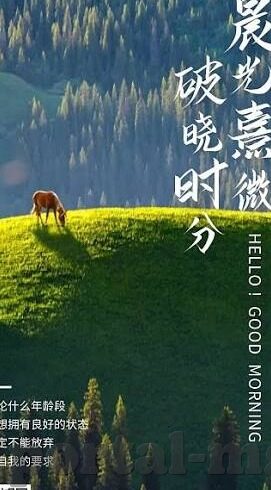 足球对方比分前还是-足球赛场，比分揭晓前的心理博弈与战术较量